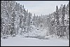 van Siilastupa naar Porontimajoki, Oulanka NP, Finland , vrijdag 11 februari 2011