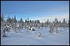 van Siilastupa naar Porontimajoki, Oulanka NP, Finland , vrijdag 11 februari 2011