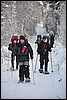 van Siilastupa naar Porontimajoki, Oulanka NP, Finland , vrijdag 11 februari 2011