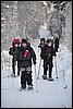 van Siilastupa naar Porontimajoki, Oulanka NP, Finland , vrijdag 11 februari 2011