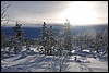 van Siilastupa naar Porontimajoki, Oulanka NP, Finland , vrijdag 11 februari 2011