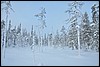 van Siilastupa naar Porontimajoki, Oulanka NP, Finland , vrijdag 11 februari 2011