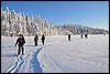 van Porontimajoki naar Ruka, Oulanka NP, Finland , zaterdag 12 februari 2011