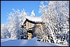 van Porontimajoki naar Ruka, Oulanka NP, Finland , zaterdag 12 februari 2011