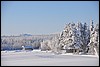 van Porontimajoki naar Ruka, Oulanka NP, Finland , zaterdag 12 februari 2011