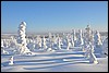 van Porontimajoki naar Ruka, Oulanka NP, Finland , zaterdag 12 februari 2011