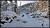 omgeving Taivalkongas, Oulanka NP, Finland , maandag 7 februari 2011