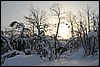 dagtocht Outtakka, Pallas, Finland , zondag 6 maart 2016