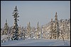 dagtocht Outtakka, Pallas, Finland , zondag 6 maart 2016