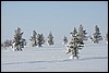 dagtocht Outtakka, Pallas, Finland , zondag 6 maart 2016