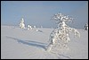 dagtocht Outtakka, Pallas, Finland , zondag 6 maart 2016