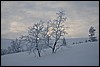 van Hannukuru naar Sioskuru, Pallas, Finland , zondag 6 maart 2016