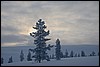 van Hannukuru naar Sioskuru, Pallas, Finland , zondag 6 maart 2016