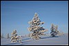 van Sioskuru naar Hetta, Finland , zondag 6 maart 2016
