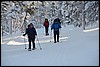 van Sioskuru naar Hetta, Finland , zondag 6 maart 2016