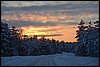 van Hetta naar Levi, Finland , maandag 7 maart 2016