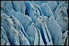 Grey Glacier, N.P. Torres Del Paine, Chili , woensdag 24 december 2008