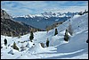 Sneeuwwandelen in de Rosengarten, Italië , vrijdag 29 februari 2008