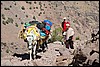 onderweg naar Toubkal hut, Marokko , dinsdag 2 mei 2006