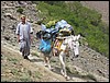 onderweg naar Tizi Tadat pas, Marokko , zaterdag 6 mei 2006