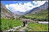 Wandeling van Tigrit naar Khanjarplateau, India , vrijdag 24 augustus 2012